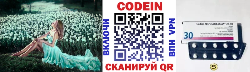 Купить где Кашин Кодеин Purple Drank