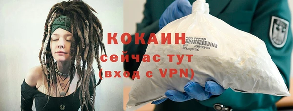 тгк Инсар