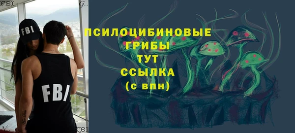 а пвп мука Инта