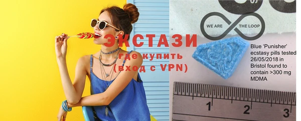 тгк Инсар