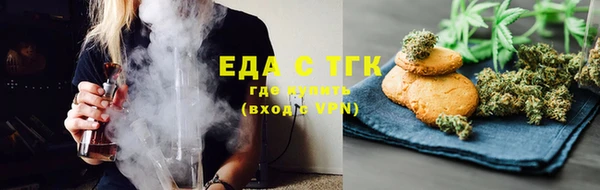 тгк Инсар