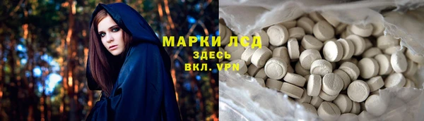 тгк Инсар