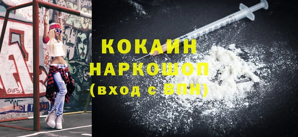 тгк Инсар