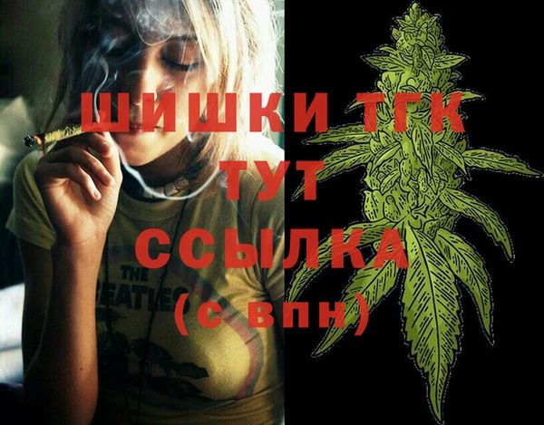 тгк Инсар