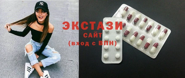 тгк Инсар