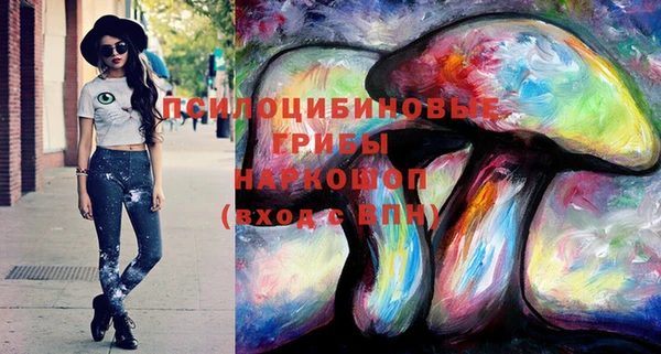 а пвп мука Инта