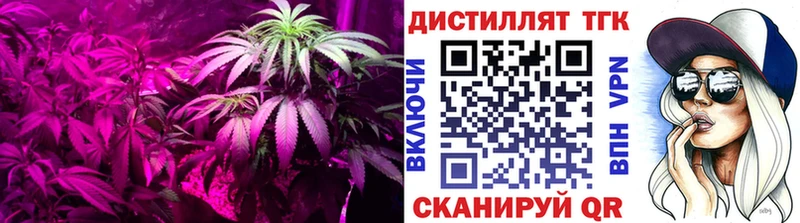Дистиллят ТГК гашишное масло  Купить где  Кашин 